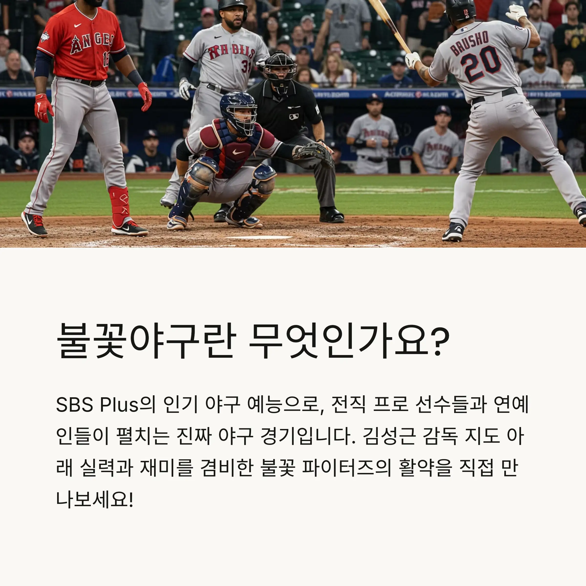 ⚾ 불꽃야구란?