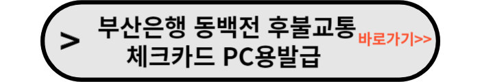 동백전 후불교통 체크카드신청