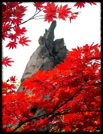 2024 가을, 국내 단풍 명소 추천: 절정 시기와 여행 팁까지 완벽 가이드