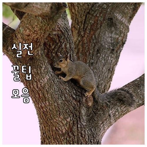 일상 에너지 비밀 2025 통합운영센..