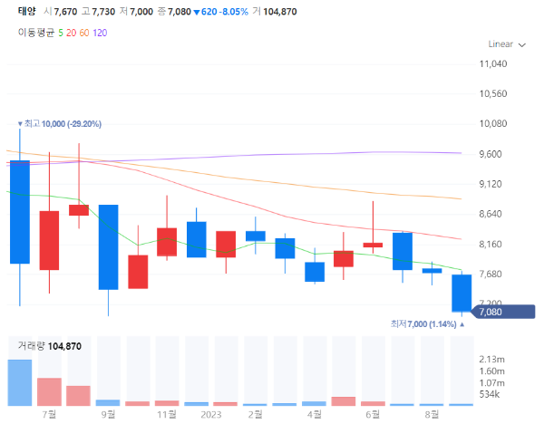캠핑관련주대장주수혜주TOP5_태양