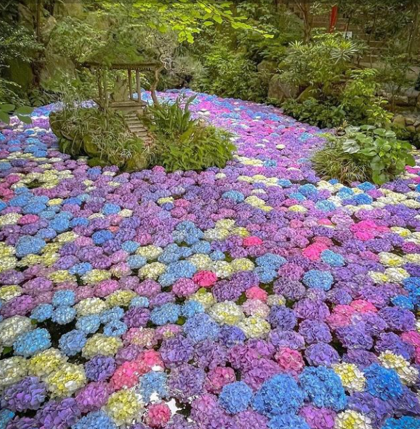 후쿠오카 난조인 02