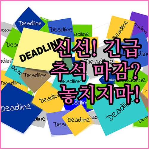 신선식품 일반 택배 추석 전 배송 보..