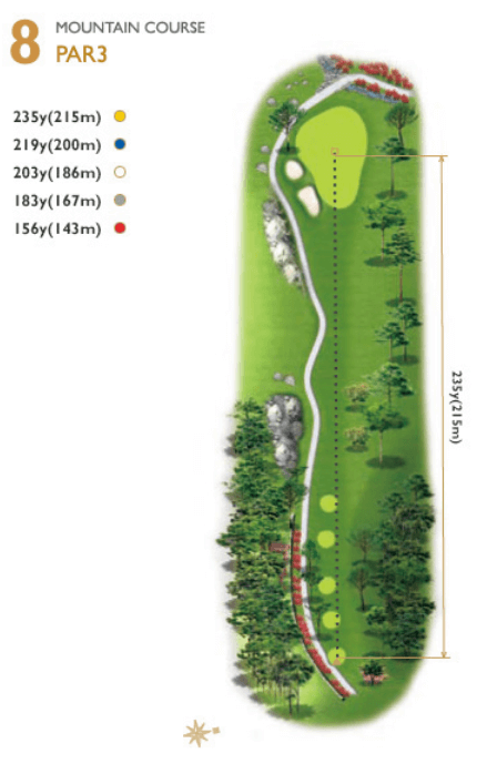 사우스스프링스 컨트리클럽 마운틴코스 8