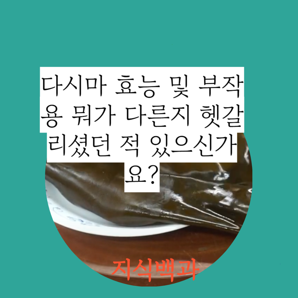 다시마 효능 및 부작용 뭐가 다른지 헷갈리셨던 적 있으신가요?