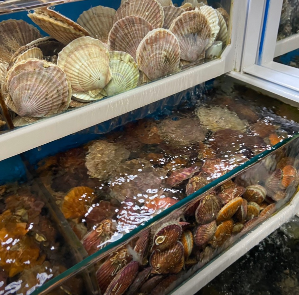 [6시 내고향] 양산 남부시장&amp;#44; 반건조참민어 참돔 참가자미&amp;#44; 피낭시에&amp;#44; 돼지국밥밀키트&amp;#44; 캠핑용조개&amp;#44; 카레순대 김치순대&amp;#44; 비트생강청 정보