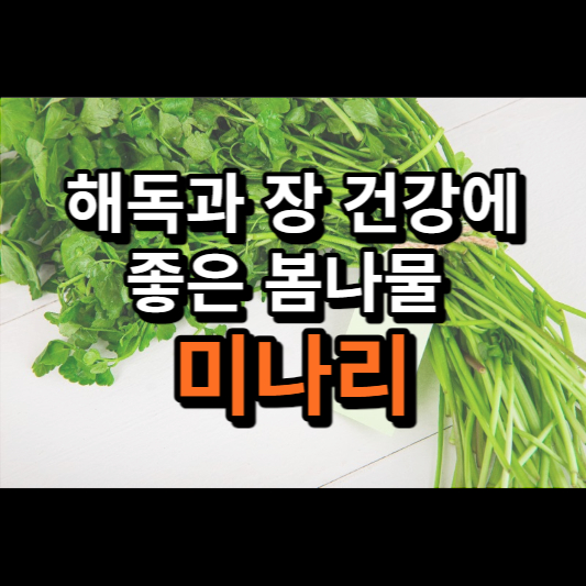 미나리: 해독과 장 건강에 좋은 봄나물