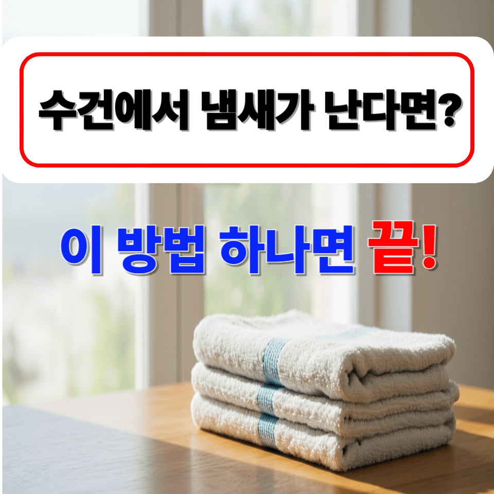 수건 냄새 제거 비법 총정리