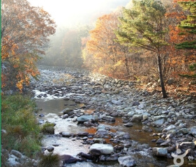 곰배령 예약 및 등산코스 안내