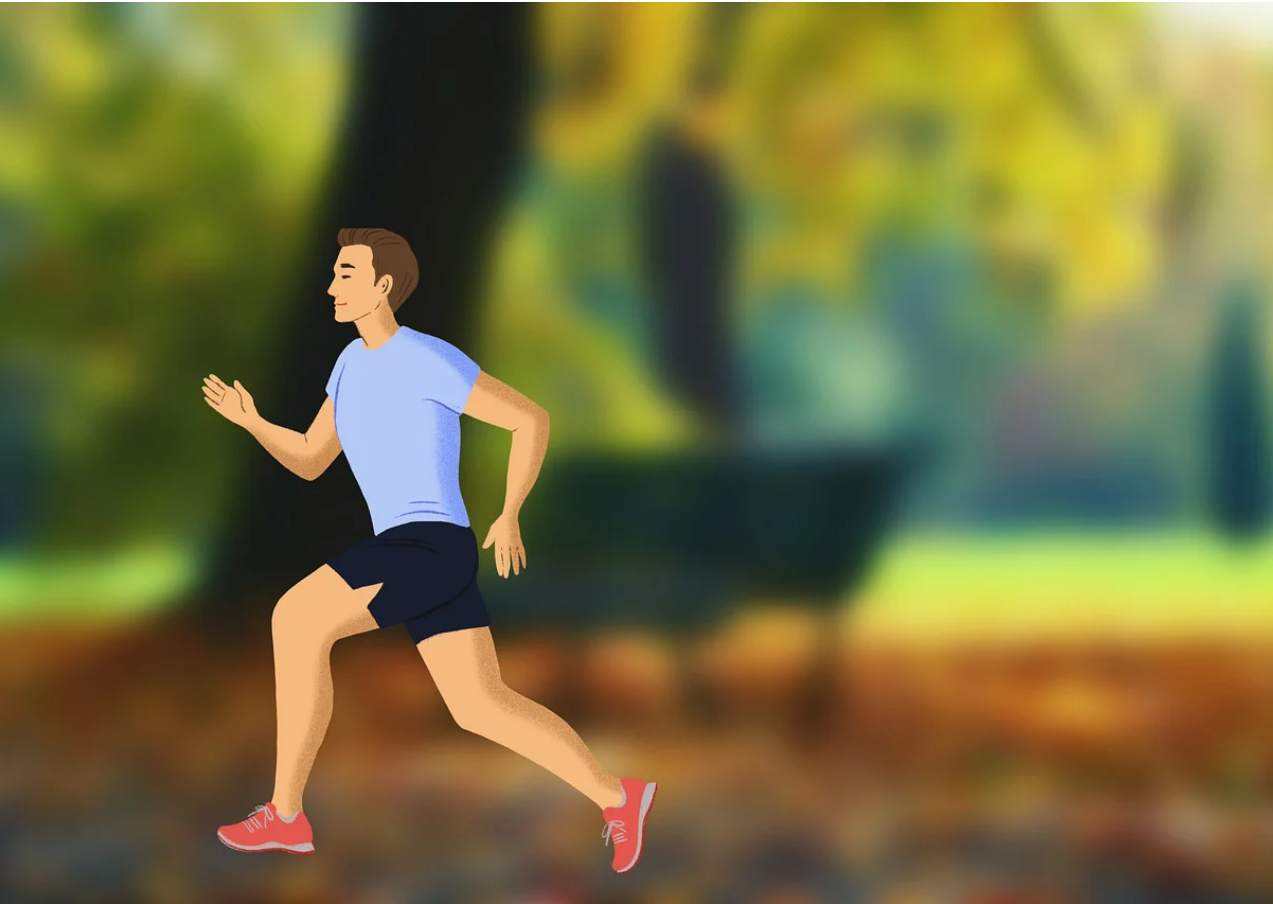 아침 햇살 받으며 20분 걷기