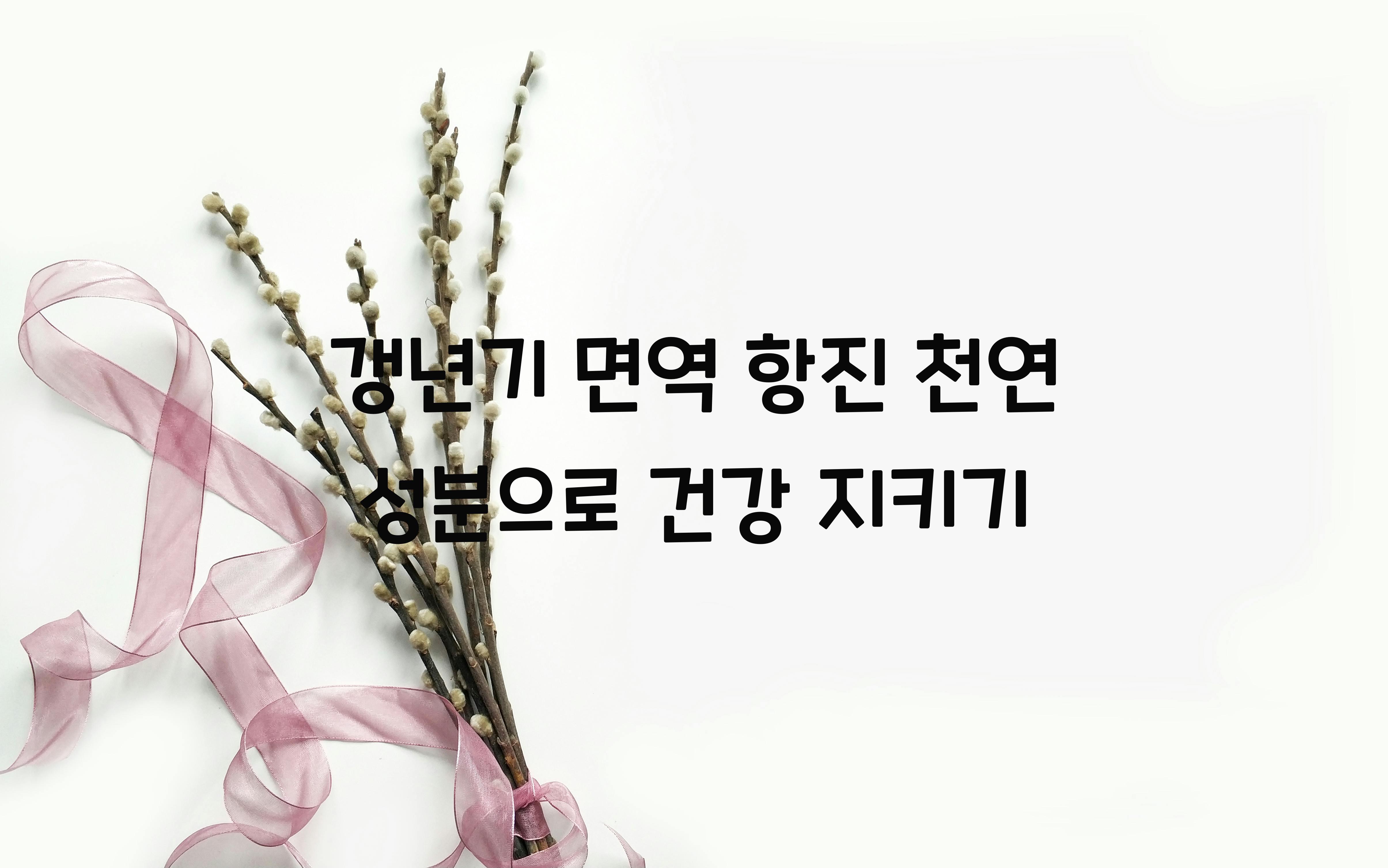 갱년기 면역 항진 천연 성분