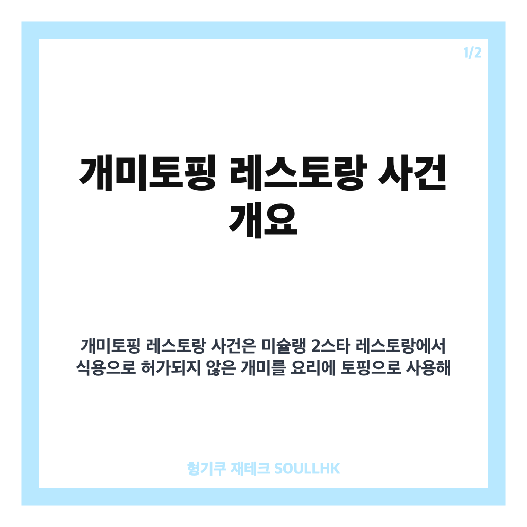 개미토핑 레스토랑 식품위생법 위반 사례와 벌금 처분 핵심 정리 카드뉴스 1