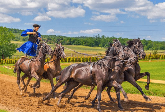 파란 옷을 입은 남자가 5마리 흑마를 몰고 달리고 있다.