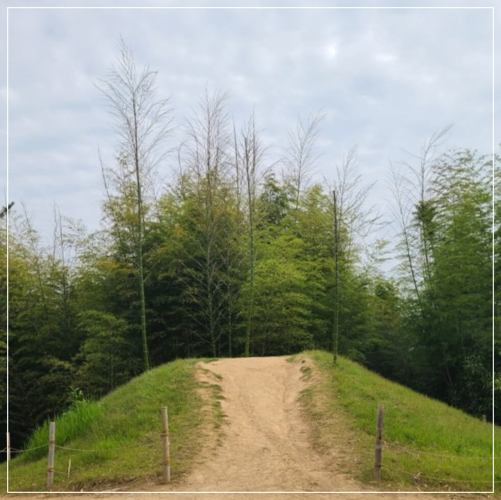 담양 가볼만한곳 베스트10 죽녹원