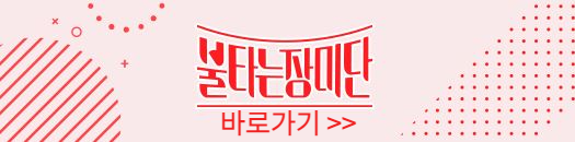 불타는 장미단