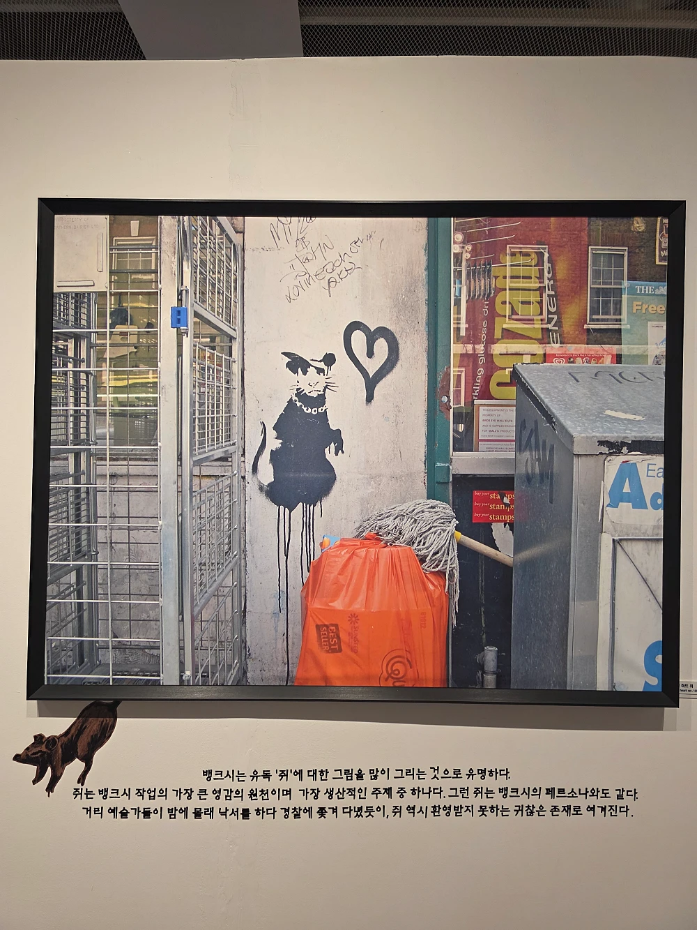 부산 뱅크시 전시 부산시민회관