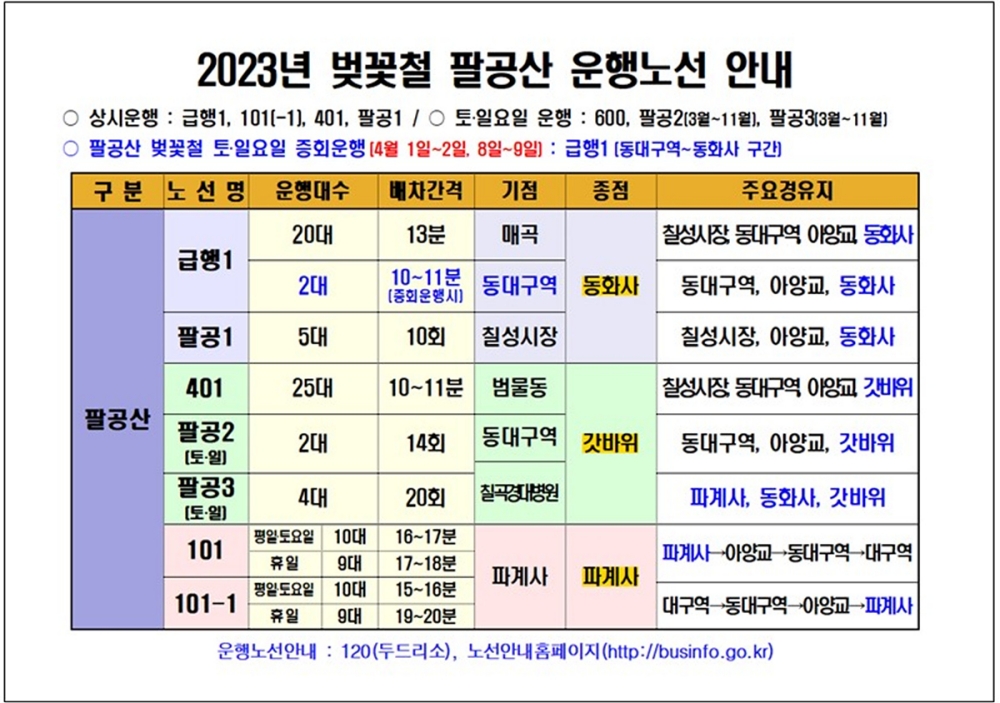 2023년 벚꽃철 팔공산 운행노선 안내문
