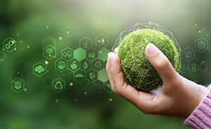 서울시 에코마일리지