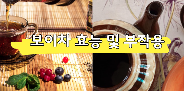 보이차 효능 및 부작용 (카페인 함량, 하루 권장량) 총정리