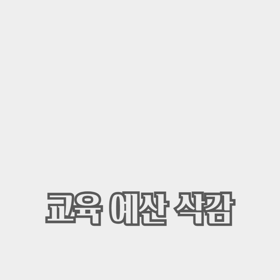 교육 예산 삭감이 학생들에게 미치는 영향