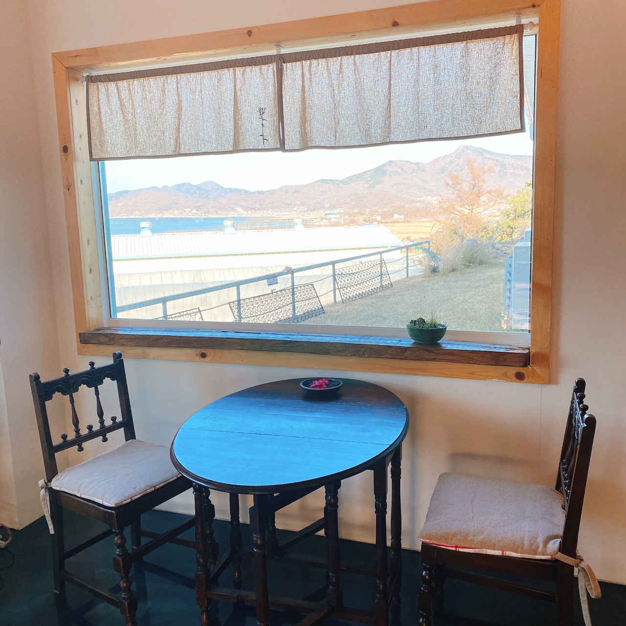 강화도 야생화 뜰 카페