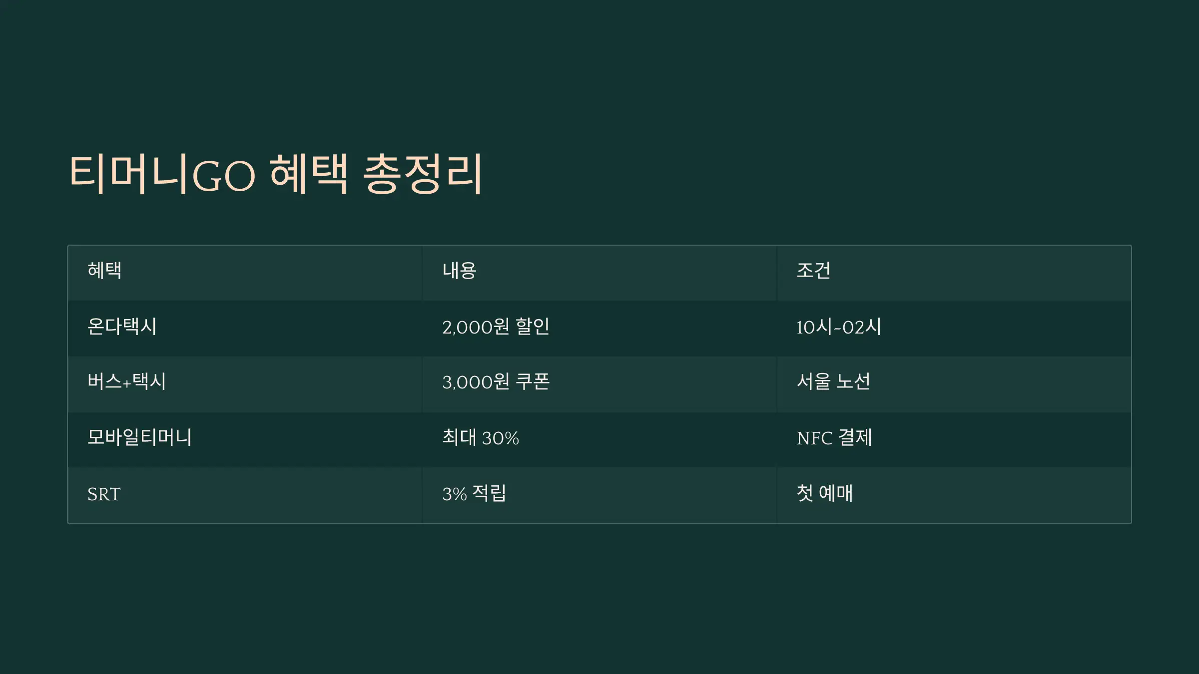 요약표: 티머니GO 할인·적립 혜택 총정리