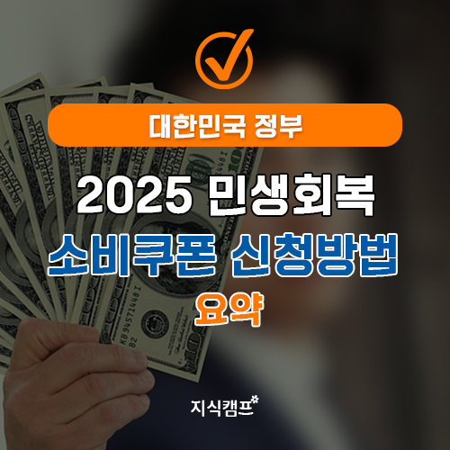 2025 민생회복 소비쿠폰 신청방법 요약
