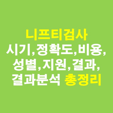 니프티검사 시기, 방법, 정확도, 비용, 성별, 지원, 결과, 고위험, 양수검사 총정리_썸네일