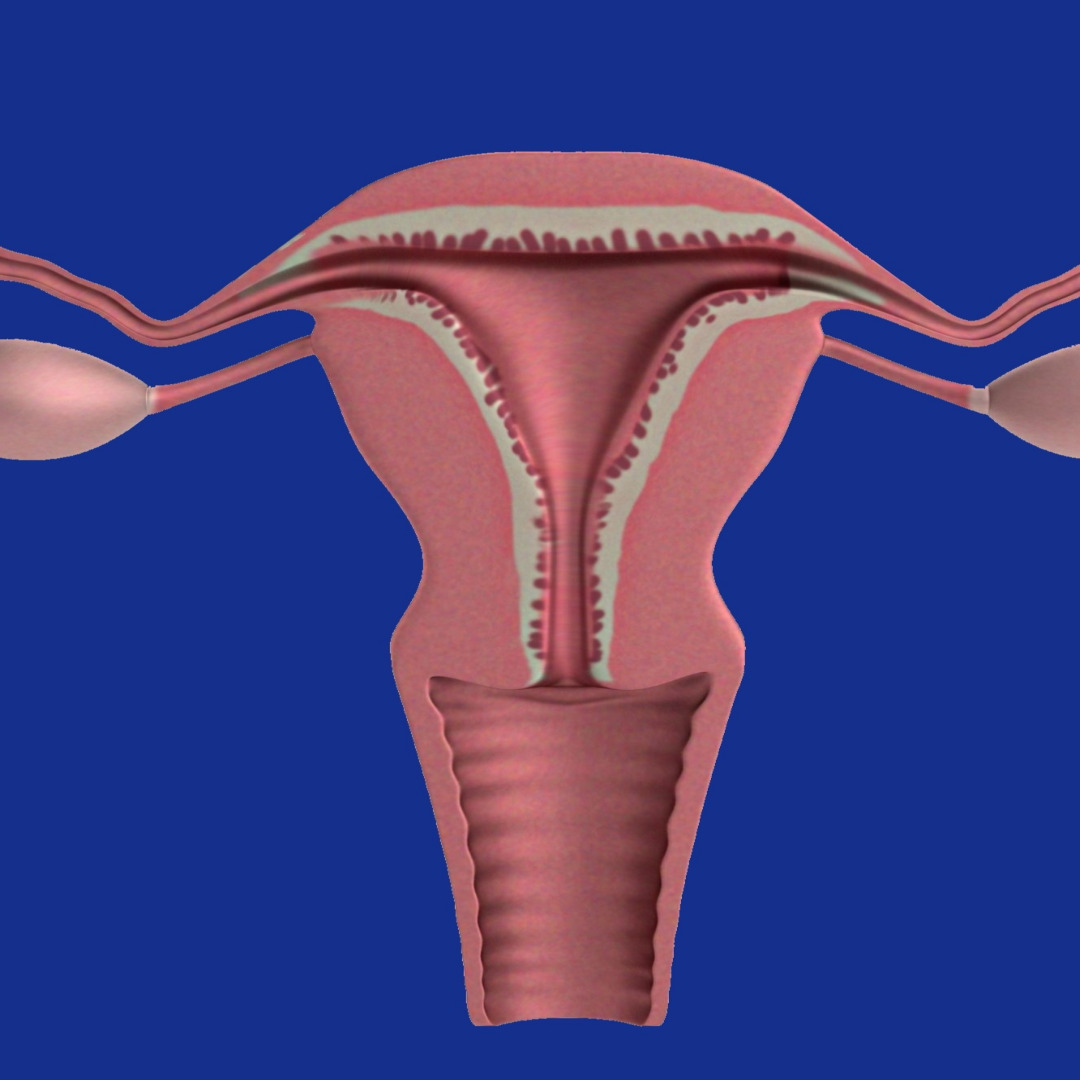 자궁경부암 백신과 발생부위 관계 (HPV예방접종, 효과, 대상연령)