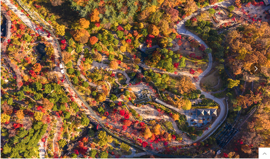 화담숲 가을축제