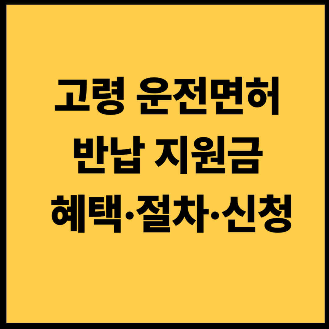 고령 운전면허 반납 지원금 혜택&middot;절차&middot;신청 방법 2026