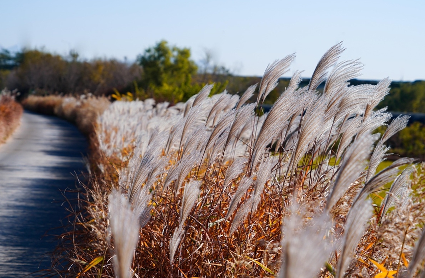 고민: 남성은 은퇴 불안, 여성은 관계 스트레스