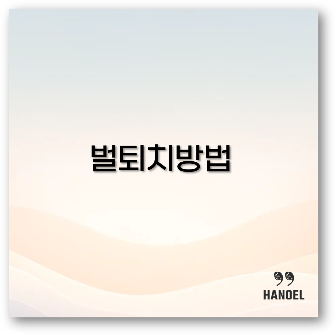 벌 퇴치 방법과 스프레이부터 벌레퇴치기 추천까지 Top 5 꼭 알고 가세요