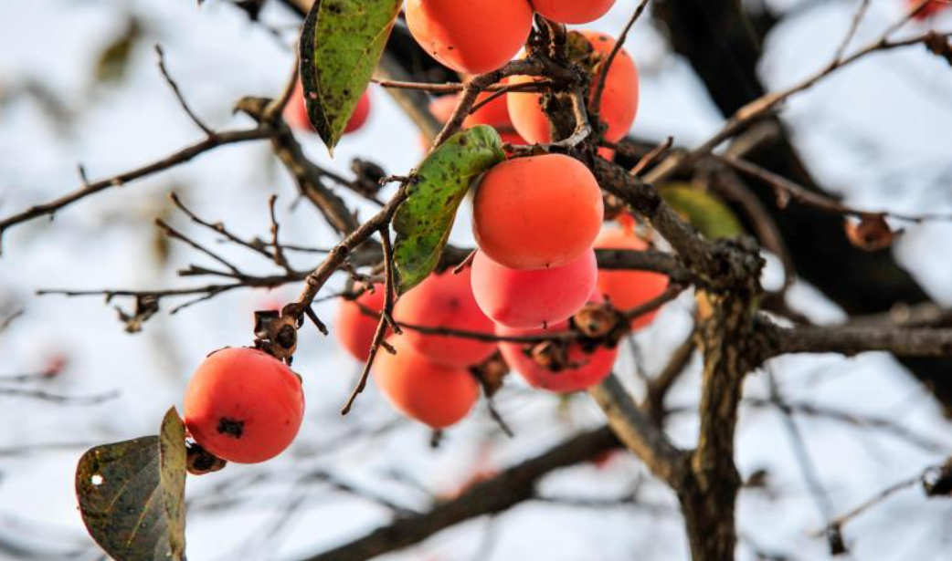 9월 18일 수요일 날씨 전망
