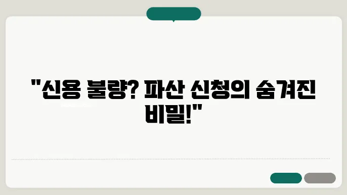 신용 불량자 파산 신청