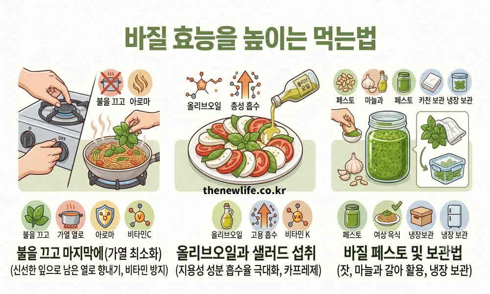 바질 효능 높이는 먹는법