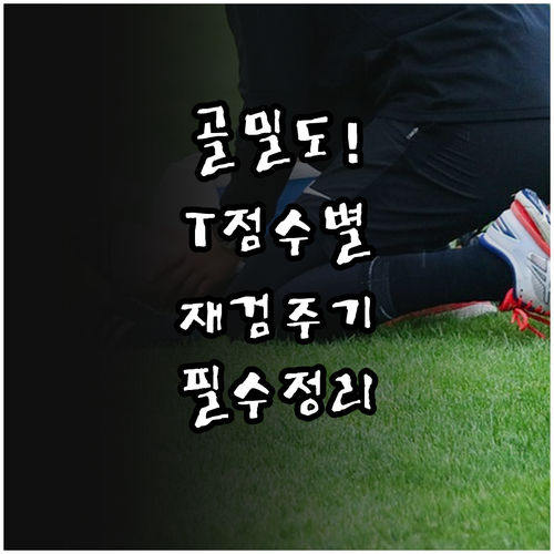 골밀도 T점수에 따른 골다공증 재검 ..