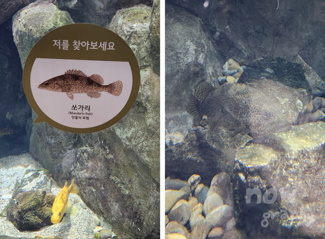 화담숲