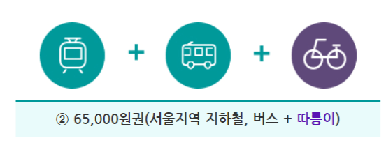 기후동행카드