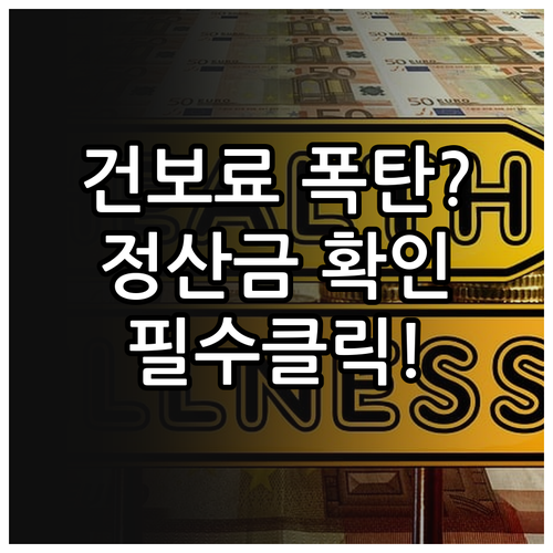 건강보험료 연말정산 본인부담금 조회 ..