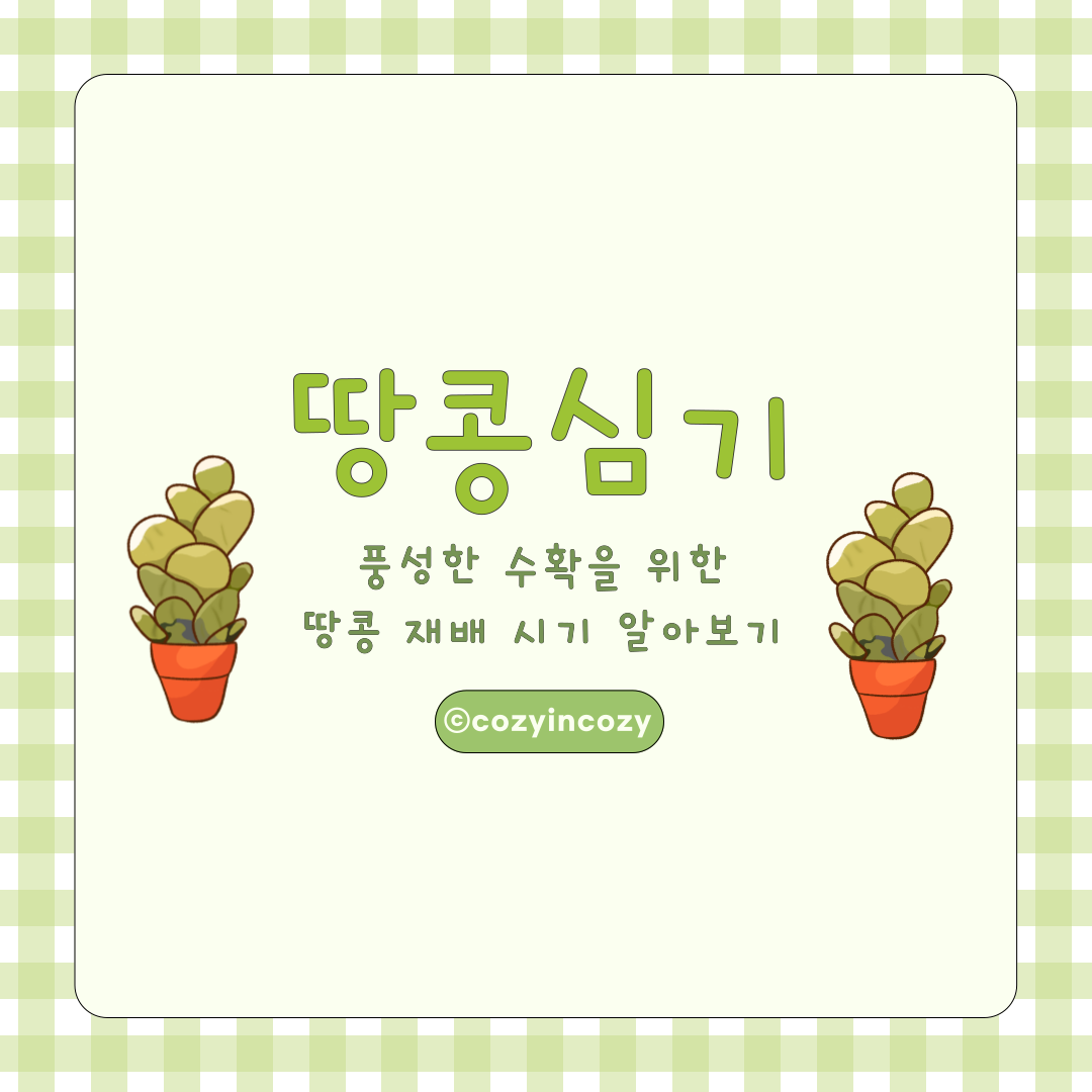 땅콩 심기 ! 풍성한 수확을 위한 땅콩 재배 시기 알아보기