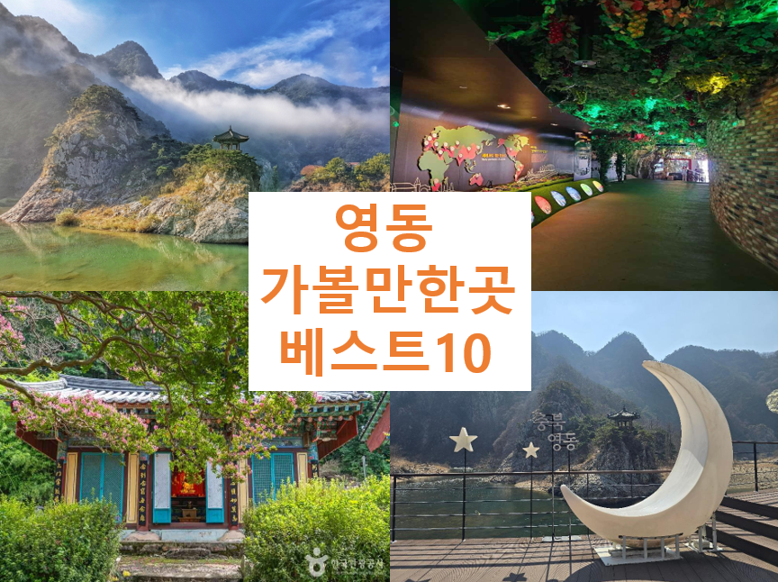 영동 가볼만한 곳 베스트10