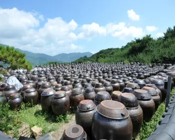광양 매화축제_18