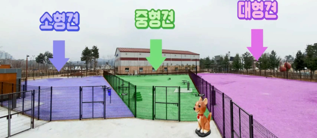 덕수공원 반려견 놀이터
