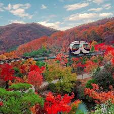 화담숲 모노레일