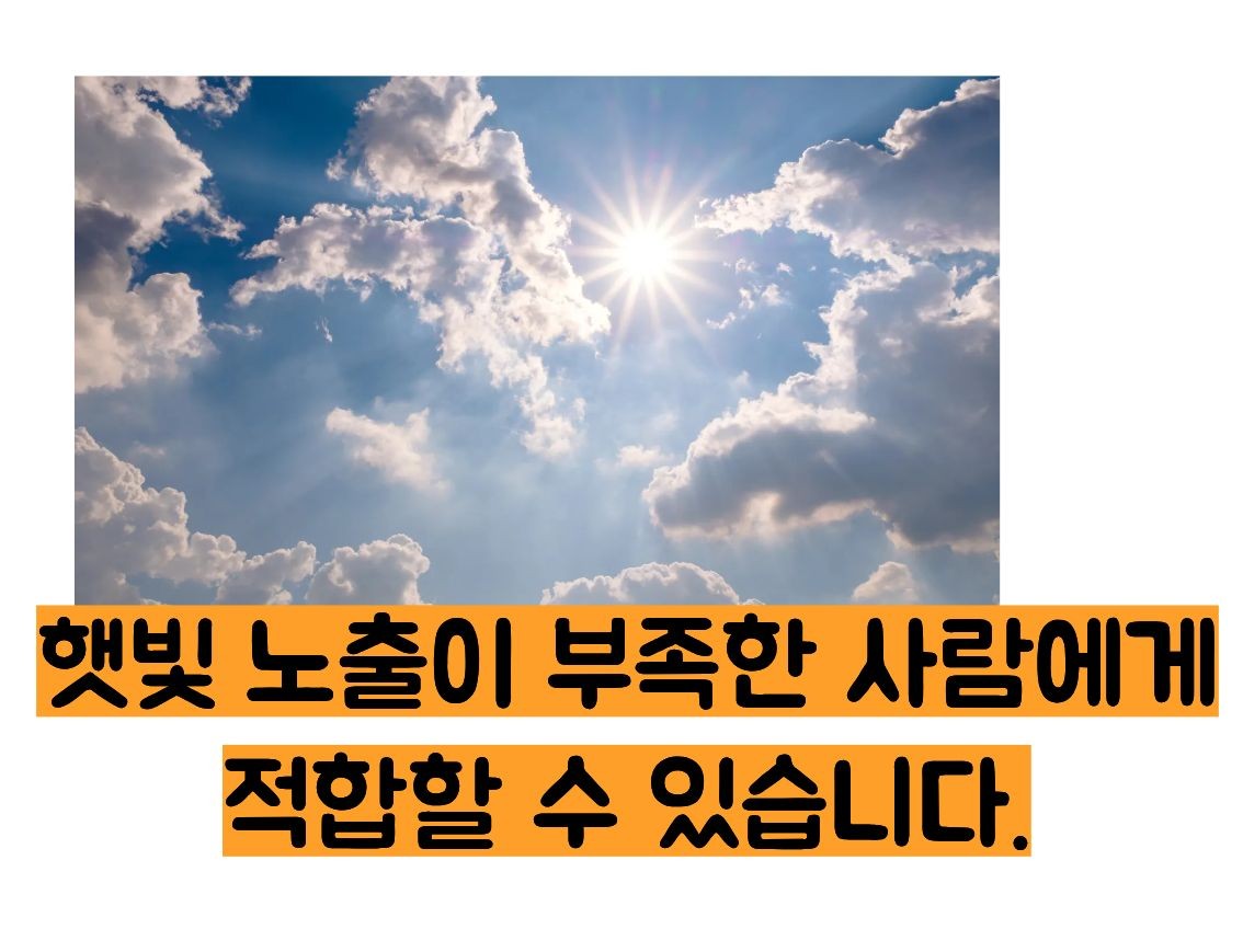 비타민d주사 효능