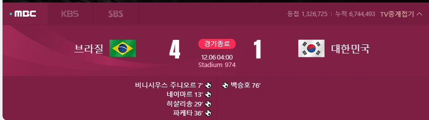 브라질전패배