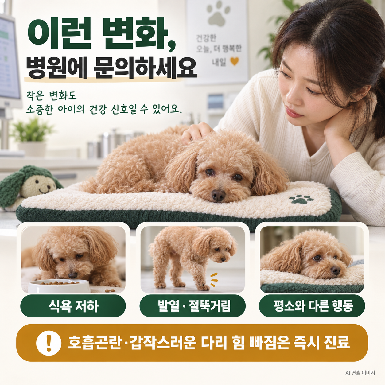 강아지 산책 후 진드기 확인하는 방법, 어디부터 봐야 할까?