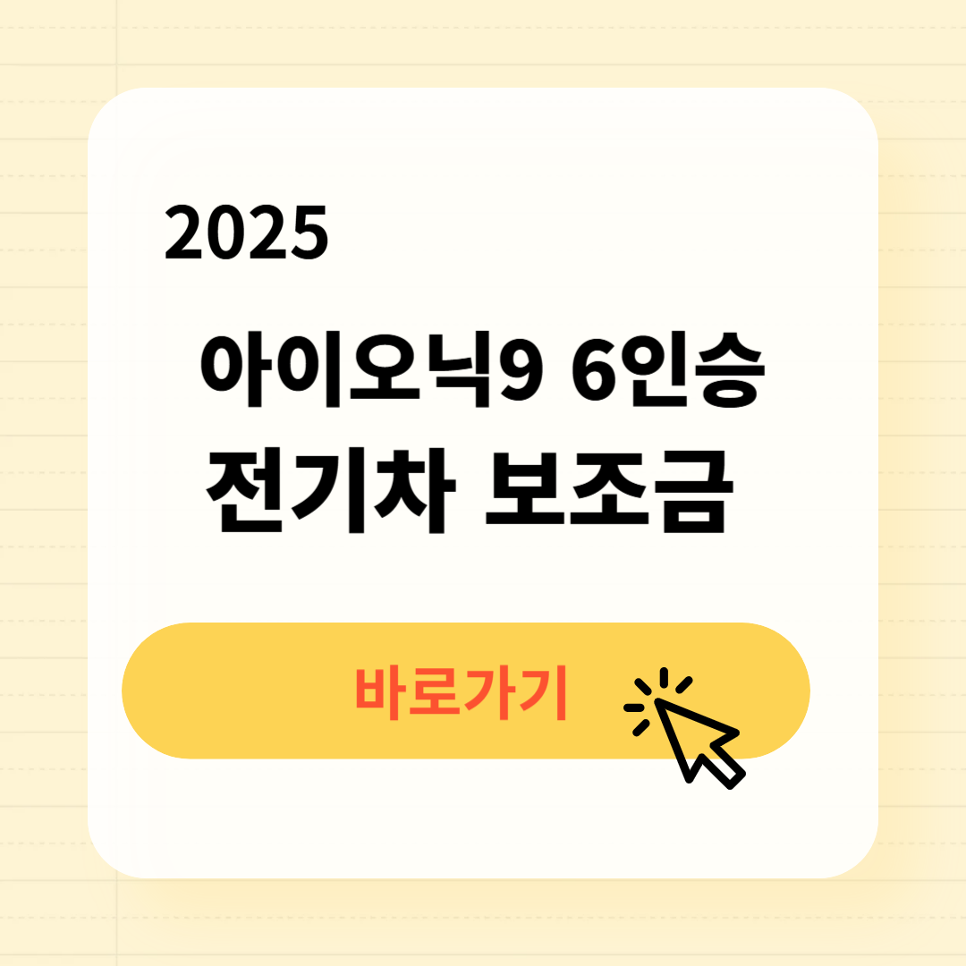 아이오닉9 6인승 전기차 보조금