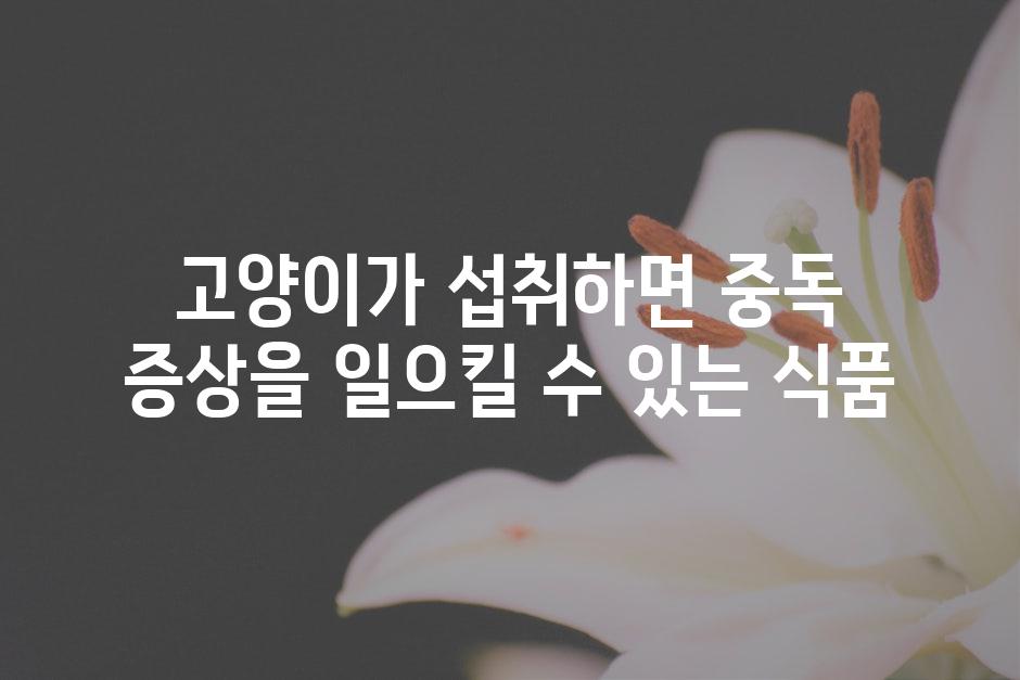 고양이가 섭취하면 중독 증상을 일으킬 수 있는 식품